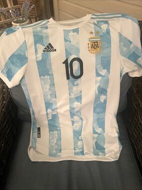 adidas Mens Medium Argentina Home Soccer Jersey - White & Light Blue
